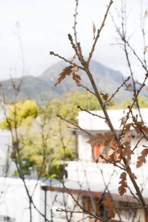 Church Street Luxury Apartments Stellenbosch Ngoại thất bức ảnh